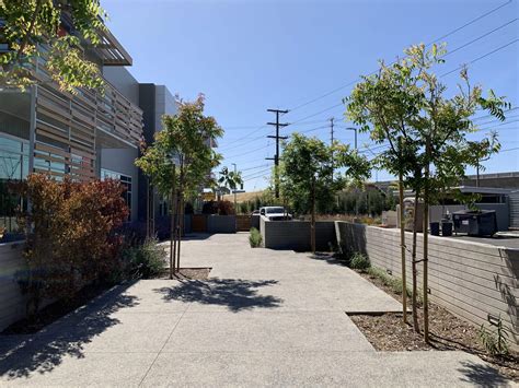 Project Photo Gallery | Carmel Landscaping