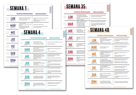 Plan de Lectura de la Biblia en 365 Días Teach Sunday School