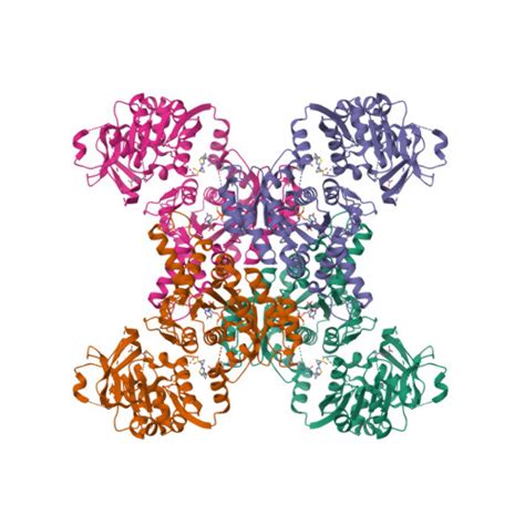 Gene Q9NRF8 Protein CTPS2 Overview CanSAR Ai