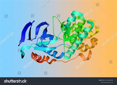 Crystal Structure Human Mitogen Activated Protein Stock Illustration