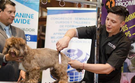 Congreso Peluquería Canina Alianz Ecuador Perla Grooming 2018 Alianz