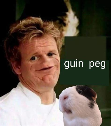 Pin By Kaitlyn Spychala On Uwu Gordon In Very Funny Pictures