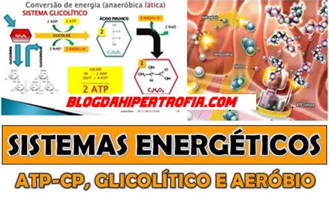 Sistemas Energéticos do Corpo Humano ATP CP Glicolítico e Aeróbio