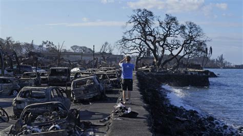 How To Help Maui Fire Victims • Long Beach Post