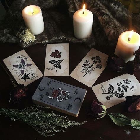 🔮 Arcane Trail 🔮 Witch Aesthetic Tarot Witch