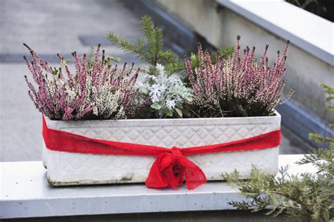 Blumenkasten Deko F R Den Herbst Sch Ne Ideen