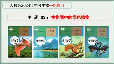 《2024年人教版中考生物一轮复习课件（全国通用）》 主题03：生物圈中的绿色植物 课件 21世纪教育网