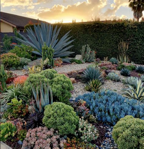 36 Beautiful Cactus Landscaping Ideas For Your Front Yards Decor