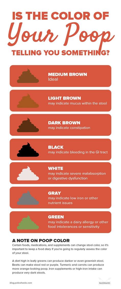 Cat Stool Color Chart