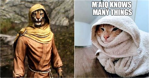 Khajiit Memes For Enthusiasts Of The Elder Scrolls My XXX Hot Girl