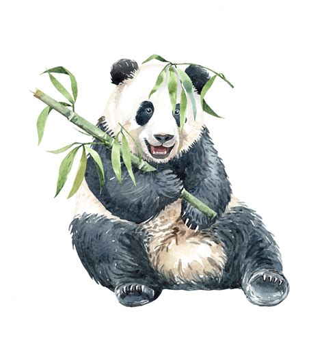 Premium Vector | Watercolor Panda eating bamboo