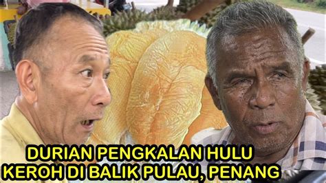 HATI HATI DURIAN PENGKALAN HULU KEROH PERAK DIJUAL DIBALIK PULAU PENANG