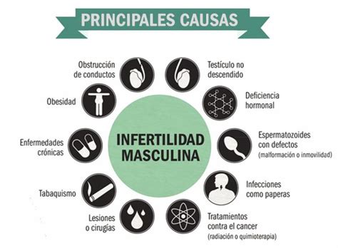 En El 50 De Los Casos De Infertilidad Las Causas Son Masculinas