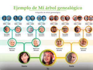 Plantilla de Árbol genealógico 4 generaciones 2024 gratis TuPlantilla