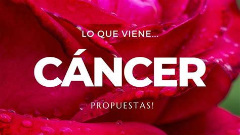 Cáncer ♋ Próximos Días 👉🏼 Nuevos Comienzos Por Todos Lados 😍💥🌻