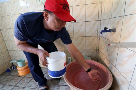 Ikanisasi Cegah Perkembangbiakan Nyamuk Antara News Jawa Timur
