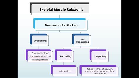 Neuromuscular Blockers Depolarizing Vs Non Depolarizing Blockers