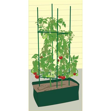 Hot Sale Product Plastic Tomato Cage Pve Tube Tomato Planter Kit Tomato