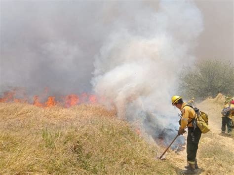 Activan Alerta Atmosf Rica Por Incendio Forestal En Zapopan