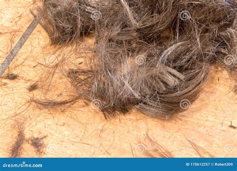 Cut Hair On The Floor Stock Image Image Of Hygiene