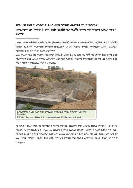 FNS | PDF