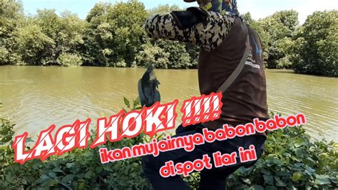 Gak Ada PEMANCING Yang Nyangka Dispot Ini Ikannya Banyak Dan Babon