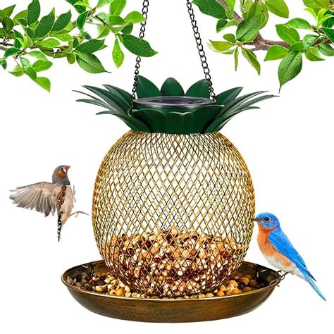 Top 10 Best Bird Feeders For Winter Oct 2022 Reviews Guide