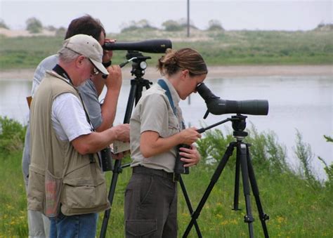 5 Best Spotting Scopes for Birding (Reviews Updated 2020) - GigOptix