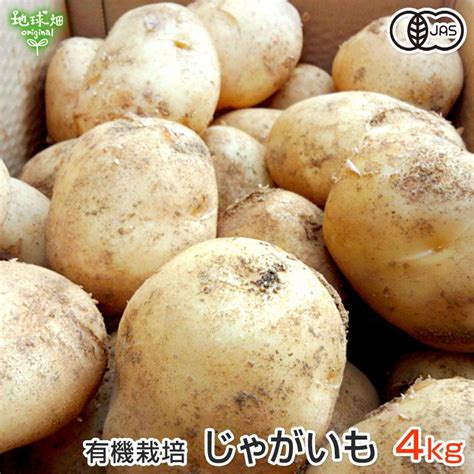 じゃがいも 有機栽培 4kg 鹿児島県産 宮崎県産 有機jas 化学肥料・農薬不使用 ジャガイモ 馬鈴薯 ポテト ニシユタカ 発送期間12〜2