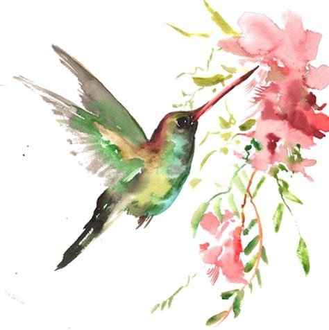 Hummingbirds Clipart Flowers Png Watercolor Painting Birds The Best