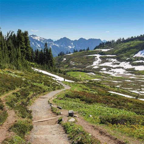 Voyages De Randonnée Au Mont Rainier