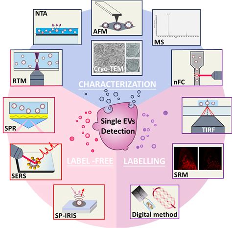 Analysis Of Single Extracellular Vesicles For Biomedical Applications