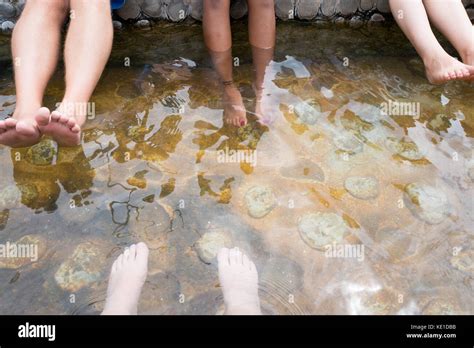 Chiang Rai Thaweesin Hot Spring Review Of Thaweesin Hot Spring Wiang Pa Pao Thailand Stock