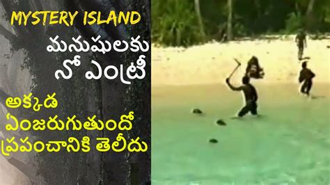 Mystery Island మిస్టరీ ఐలాండ్ మనుషులకు నో ఎంట్రీ Youtube