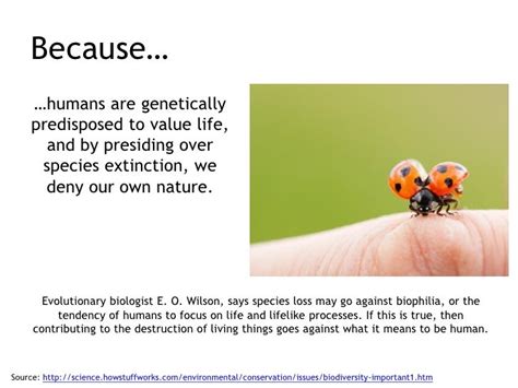 Why Biodiversity Is Important