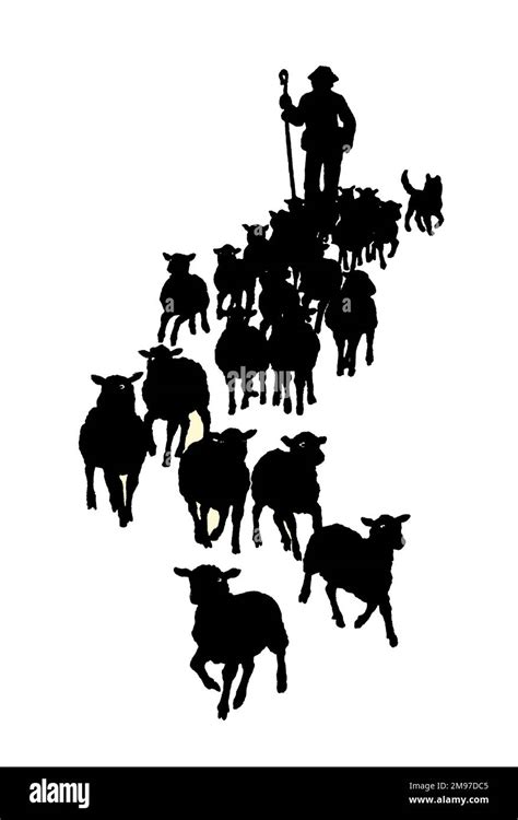 A Silhouette Of A Shepherd And His Flock Stock Photo Alamy