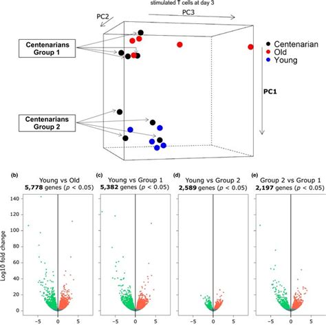 Global Gene Expression Profile Comparisons Between Young Old