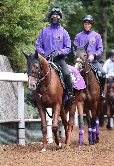 【今週の注目新馬】シヴァースは近親にgⅠ馬ズラリ 友道師「軽い芝が合う感じ」 サンスポzbat