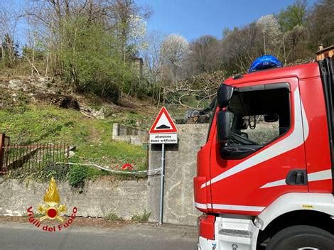 Area Boschiva Interessata Da Un Incendio Il Faro In Rete