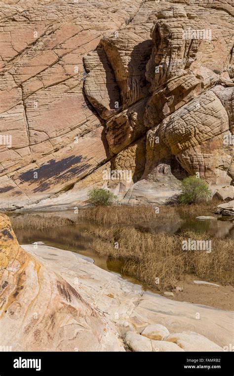 Red Rock Canyon Nevada Calico Tanks At End Of Trail Sandstone Shows