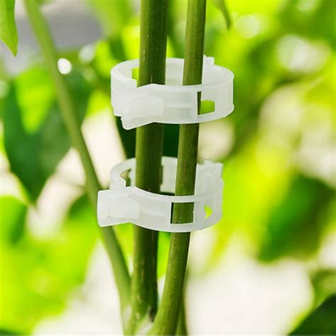 50pcs Indoor Outdoor Plant Support Clips Support Clips For Gardening