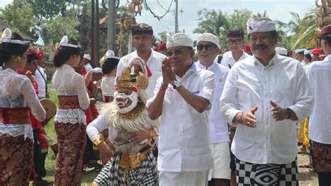 Wayan Koster Hadiri Karya Ngusaba Kelapa Di Desa Timpag Bentuk