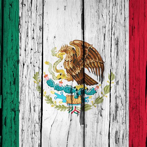 Mexican Flag Wallpaper Mexican Flag Stock Footage Video