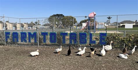 'Hidden Gem' in Huntington Beach