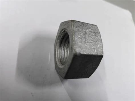 Hot Dip Galvanized Hex Nuts Diameter Mm Ss Ms Carbon Steel At Rs