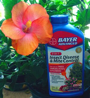 Hidden Valley Hibiscus Bayer Advanced 3 In 1 Pest Control Product