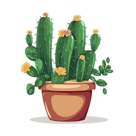 Cactus Sencillos Vector Png Dibujos Pegatina Clipart Caricatura Png Y Vector Para Descargar