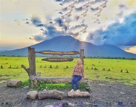 Taman Nasional Baluran Situbondo Jawa Timur Media Travelling