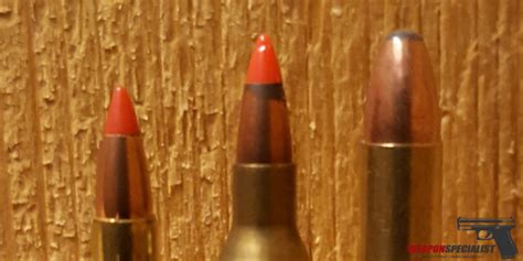 The Comprehensive Guide to 17 WSM Ammo - WeaponSpecialist