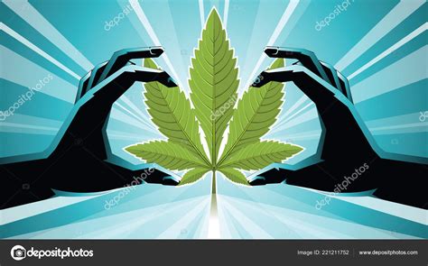 Illustration Two Hands Holding Cannabis Light Green Leaf Vector Stock